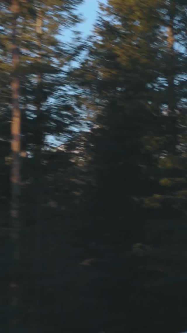 Mt. Bachelor is back open, and ski season has officially begun! ⛷️❄️. Make Wall Street Suites your home base in downtown Bend—just a short drive from fresh powder and unforgettable mountain days. Come stay with us and enjoy the perfect blend of adventure and comfort. #wallstreetsuitesbendoregon #downtownbend #dogfriendlyhotels #visitbend #mtbachelor