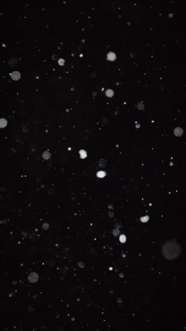 Holiday Hullabaloo 2025 — new location, new lower ticket prices, and more magic than ever!
Join us Dec 5–31 at our new home, the Southridge Event Center, for Des Moines’ biggest indoor holiday experience, supporting MercyOne Children’s Hospital.
Enjoy Breakfast with Santa, The LEGO® Guy’s Holiday Workshop, a massive LEGO® mural build, movie nights, and festive fun for the whole family!
And returning for 2025 — Mr. Magic, Jonathon! Prepare to be amazed by his mind-blowing holiday magic shows that delight kids and adults alike!
Get your tickets now at holidayhullabaloo.com — and make this holiday season one to remember!
December 5-28, 2025
https://bit.ly/4gi2ci2
#holiday_hullabaloo, #desmoines, #iowa, #christmasevent