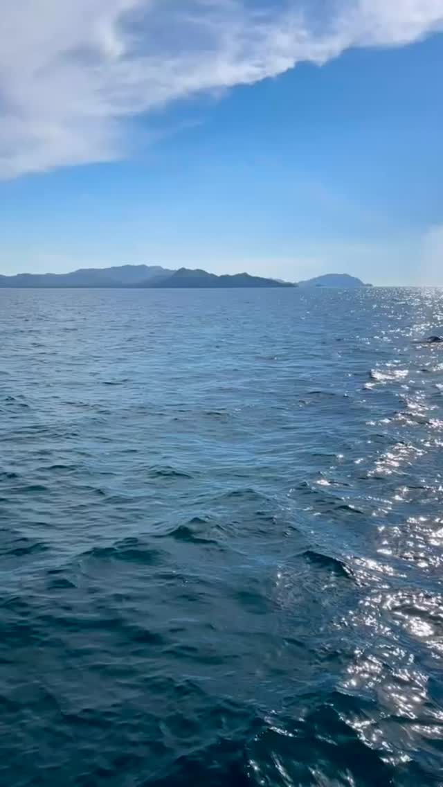 Just now!
Jan. 3, 2026