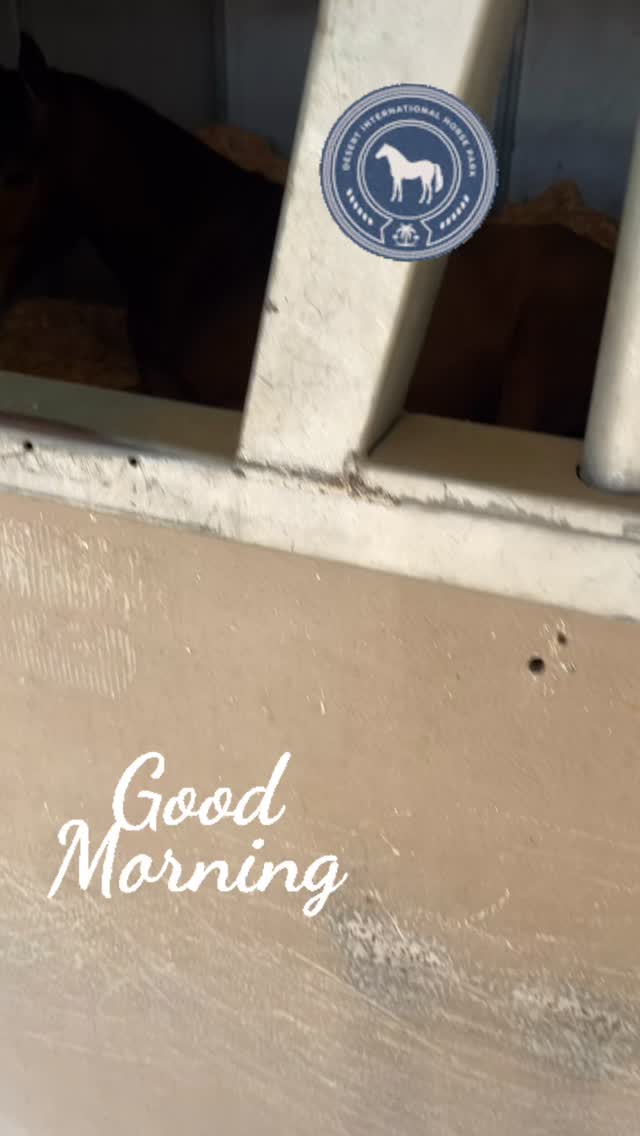 Fantastic Monday! All the horses felt great after a long trailer ride to the Desert Horse P#teamkmt #jumpingtothenextlevel #lovethejourney ark. Looking forward to a great weekāļø