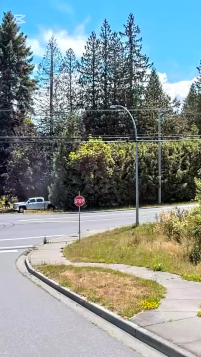 Year one in the books for this public native plant garden. Made it through the summer heat and some late season herbivore nibbling...the bigger perennials should be established enough to come back strong in year 2! 🤞🌱
