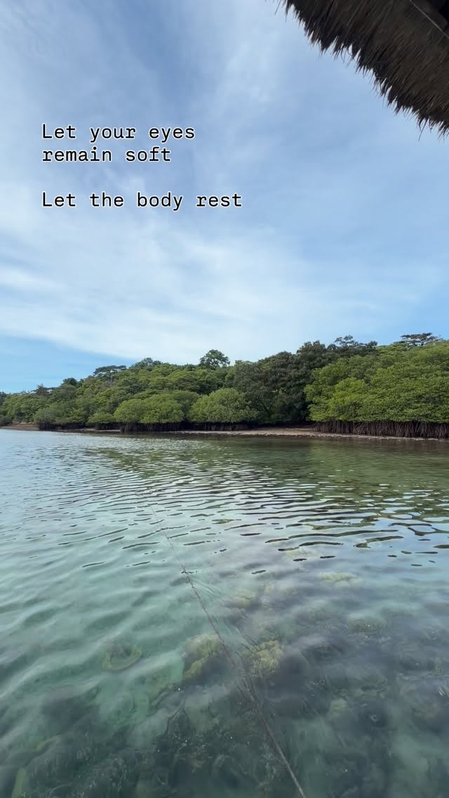 Let your eyes rest softly on the water
Soft gaze
Just receiving the moment
#lightmeditation #naturehealsthesoul #bali #vitaminsea #mindfulness