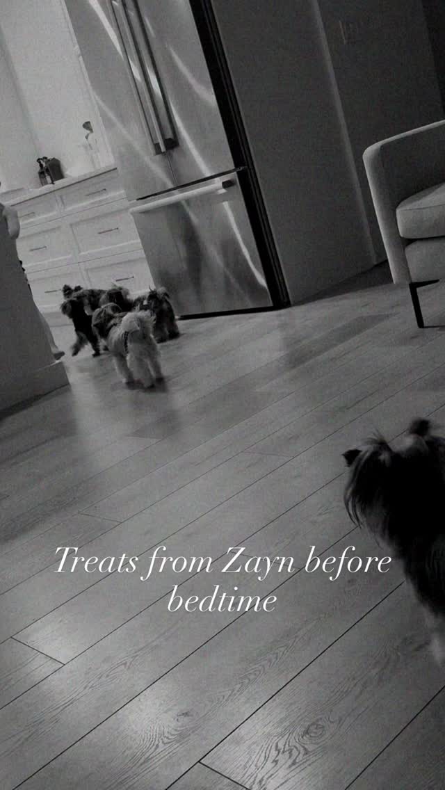 There’s something truly special about a child growing up with dogs.
Best friends, first lessons in empathy, endless love, and blessings 🩷
•
•
#yorkie #blessed #doglove #petlovers #instadog