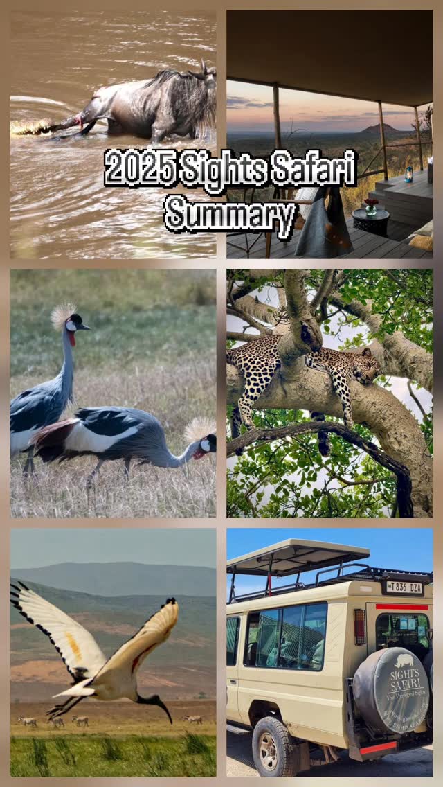 2025 in a quick summary.
I had the privilege to give the best service to all, to share my knowledge and passion with others.
For many more to come in 2026
