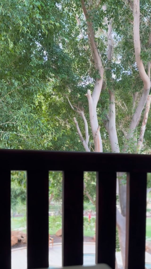 The Gong Man plays, and sound is born—
not from quiet as absence,
but from silence dense with listening,
the space where every note already waits.