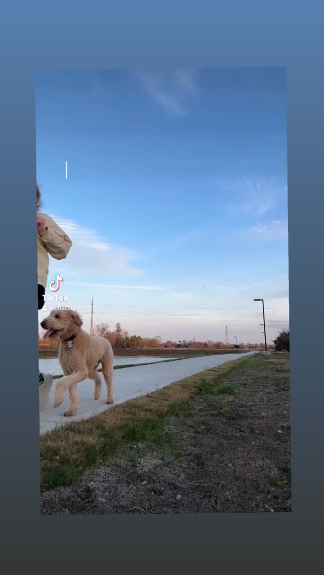 We don’t have to rush kids through frustration.
We can sit with it, model it, and show them it’s okay to try again.
Starting over is brave and it’s often where the real learning happens.
Magic loves a second try. 🩷
#parenting #motivation #momlife #playbasedlearning #motherhood #neurodiversity