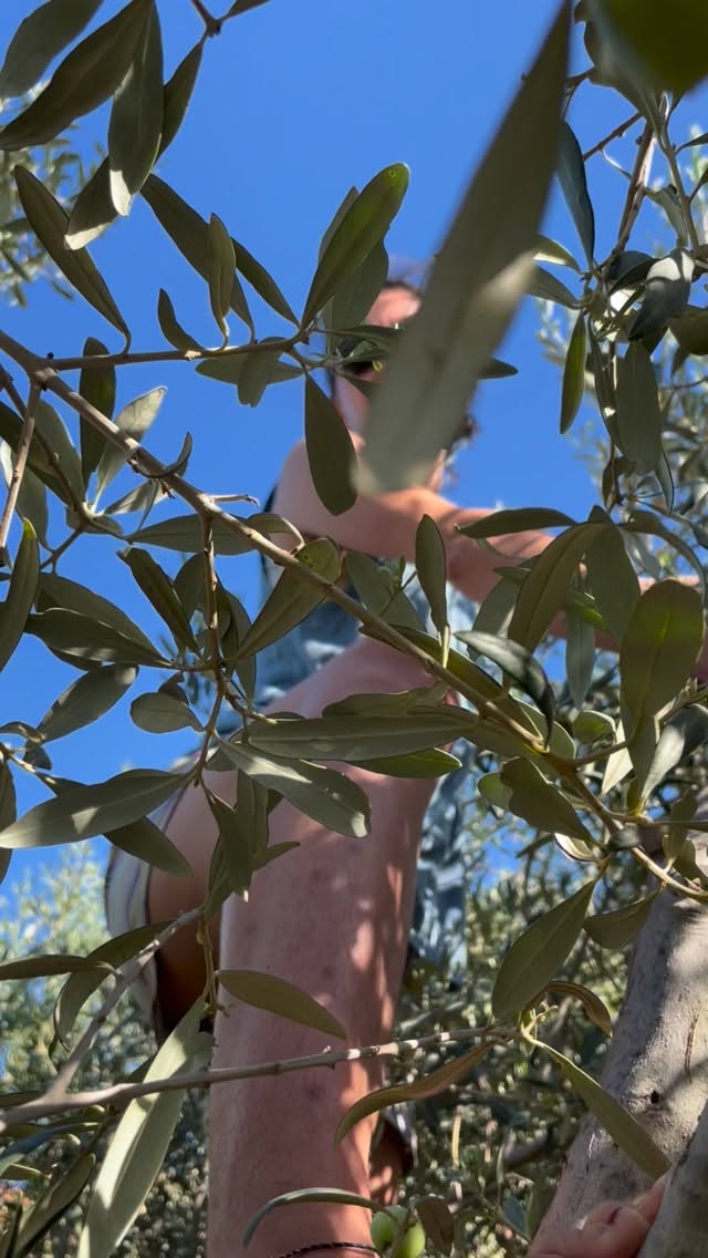 Um sie zu verstehen
Wie alles begann VIll
#nachbarschaftshilfe #nachhaltigkeit #gemeinsamkochen