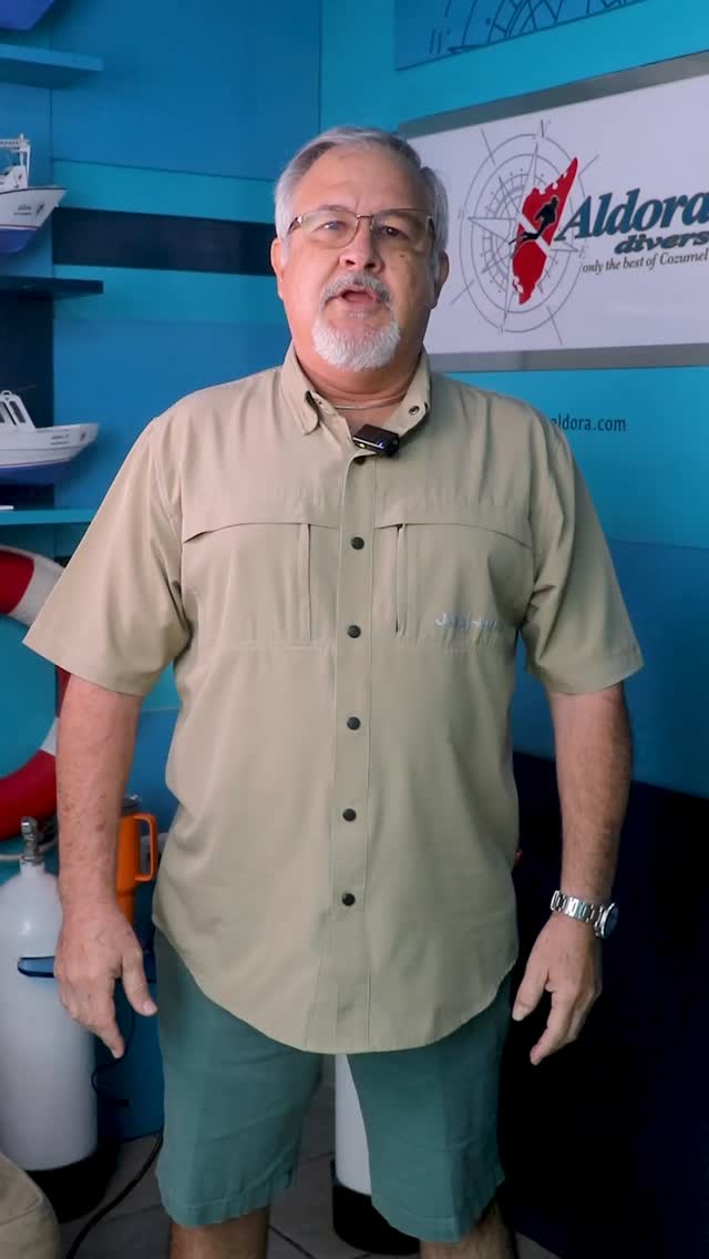 Happy New Year to our Aldora Divers around the world! 🌍✨ 🥂🍾
Thank you for being part of our dive family and for sharing another incredible year beneath the surface with us. Every dive, every smile, and every memory means more than words can say.
A heartfelt thank you to the amazing Aldora team—your passion, professionalism, and love for the ocean make everything possible.
Here’s to new adventures and unforgettable moments in the year ahead
#AldoraDivers #Cozumel #ScubaDiving #cozumelDivers #PADI CozumelMexico