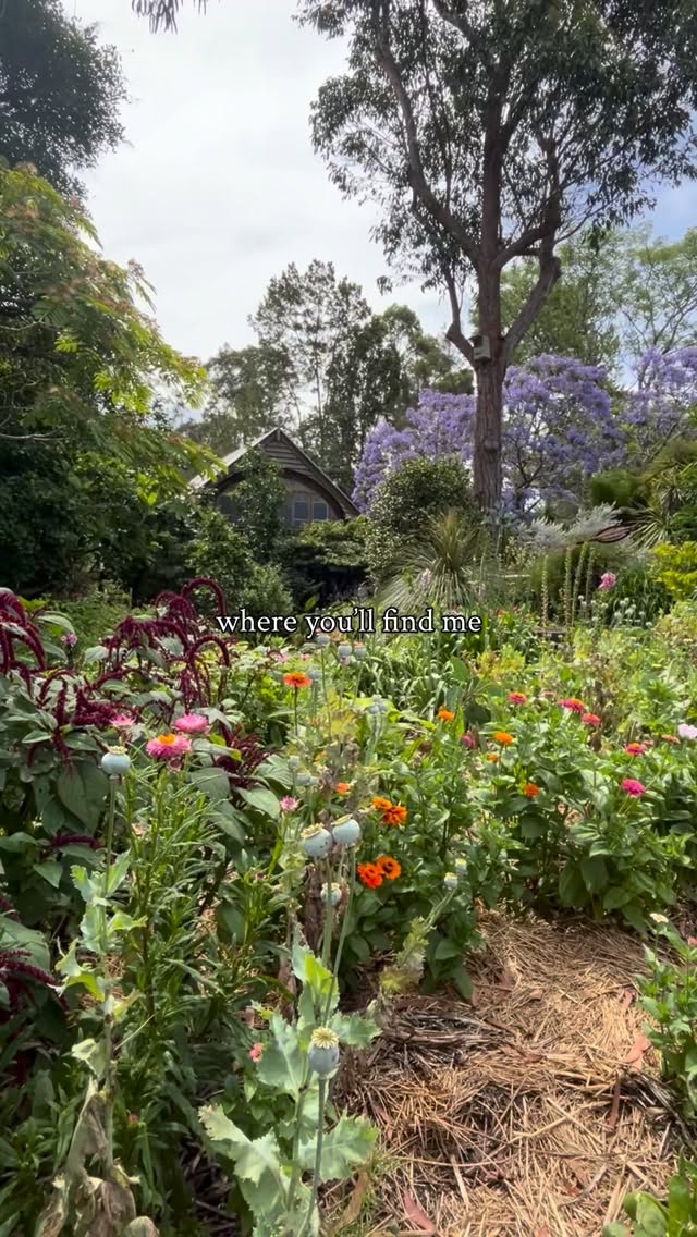 Nature 🤝 our nervous system