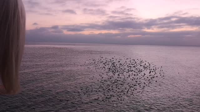 The 2025 brief reflection of cases,
This year, I’ve supported 161 new clients, many of whom had more than one pet in the household experiencing behaviour difficulties. Of these, 114 cases displayed one or more behaviour problems.
Across the year, I spent 388 hours in face-to-face consultations, including follow-up visits, ensuring clients and their pets received ongoing, hands-on support. In addition, I made 918 follow-on progression calls, providing continued guidance, reassurance, and help between visits.
In total, I have seen 45 different dog breeds and why knowing breed specific behaviour traits is an important part of this job.
Types of Dog cases
55 reactivity towards other dogs
36 reactivity towards people
28 separation anxiety
28 generalised anxieties
17 biting cases, that required hospital treatment
15 guarding behaviours
12 noise phobias
12 attention seeking behaviours
9 severe handling phobias
3 toileting in the home
Top 10 breeds seen
Cockerpoo
Cocker Spaniel
Jack Russell Terrier
Staffordshire Bull Terrier
Chihuahua
French Bulldog
Dachshund
Labrador
Springer x Cocker Spaniel
Whippet
And not forgetting the wonderful cats 😻
7 inter-cat aggression
8 toileting issues
3 human directed aggression
1 hyperesthesia
This year has been a busy one, and I’ve really enjoyed supporting caregivers and their dogs and cats. I’m looking forward to continuing into 2026, where I hope to develop some community support projects, run workshops, and grow the team to offer an even wider range of services. If you’d like support with your dog or cat, please feel free to get in touch — I would be very happy to help.
#dogbehaviourist #dogtraining #brightonandhove #catbehaviourist #catbehaviour