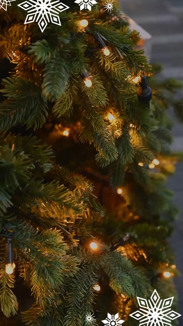 Iscrivetevi ai nostri corsi per l’anno nuovo!
Inizio lezioni: mercoledì 7 gennaio
Tersicore Danza Viterbo
Insegnanti altamente qualificati, stage con Maestri di chiara fama.
Corsi di:
Danza classica
Danza classica propedeutica
Danza classica per adulti principianti
Danza contemporanea
Hip hop
Heels
Ginnastica posturale
Open class di contaminazione
Per informazioni:
📞 0761303492
📍 Via del Pilastro, 6, Viterbo
🌐 www.tersicoreviterbo.it
#danza#scuoladidanza#danzaviterbo