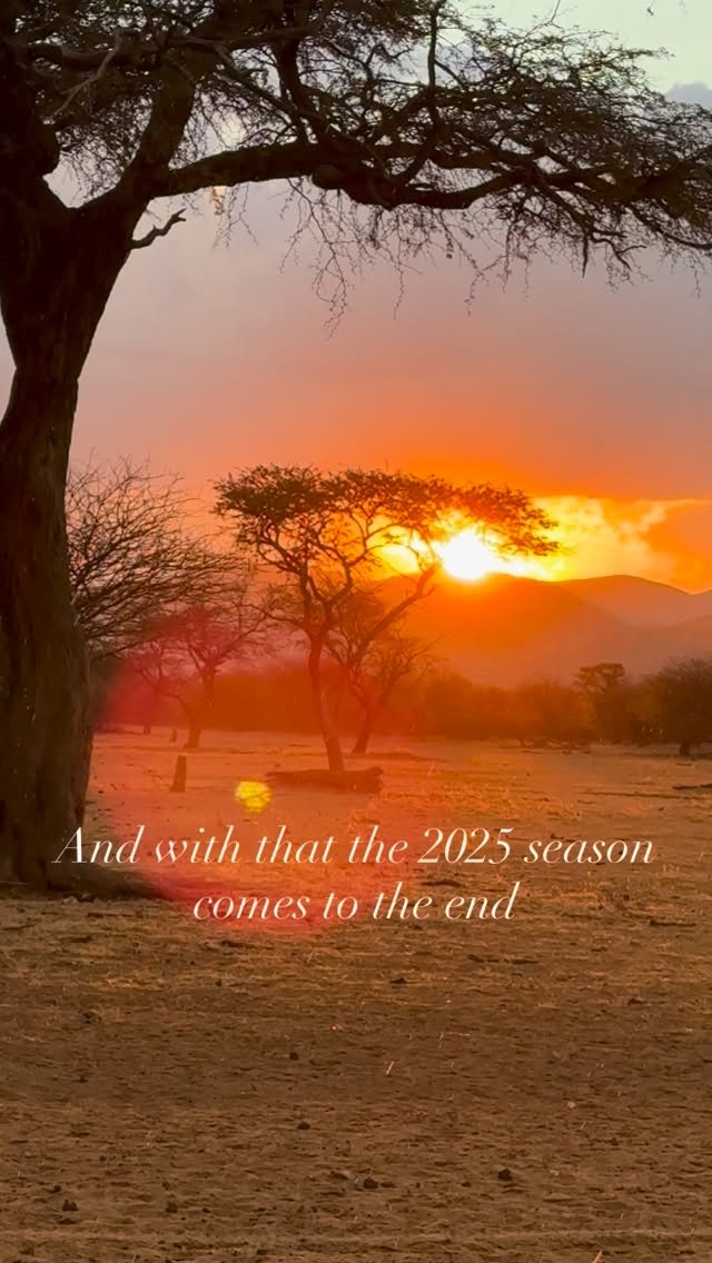 Thank you for beeing with us in 2025! See you all in 2026 ☺️
#newyear #horseridingsafari #lastyearmemories❤️ #namibia🇳🇦 #horsesafarinamibia