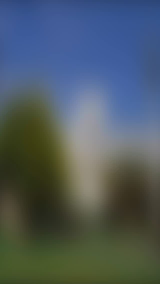 Thanks for this amazing year together ✨ #leather #tannery #newyear #explore