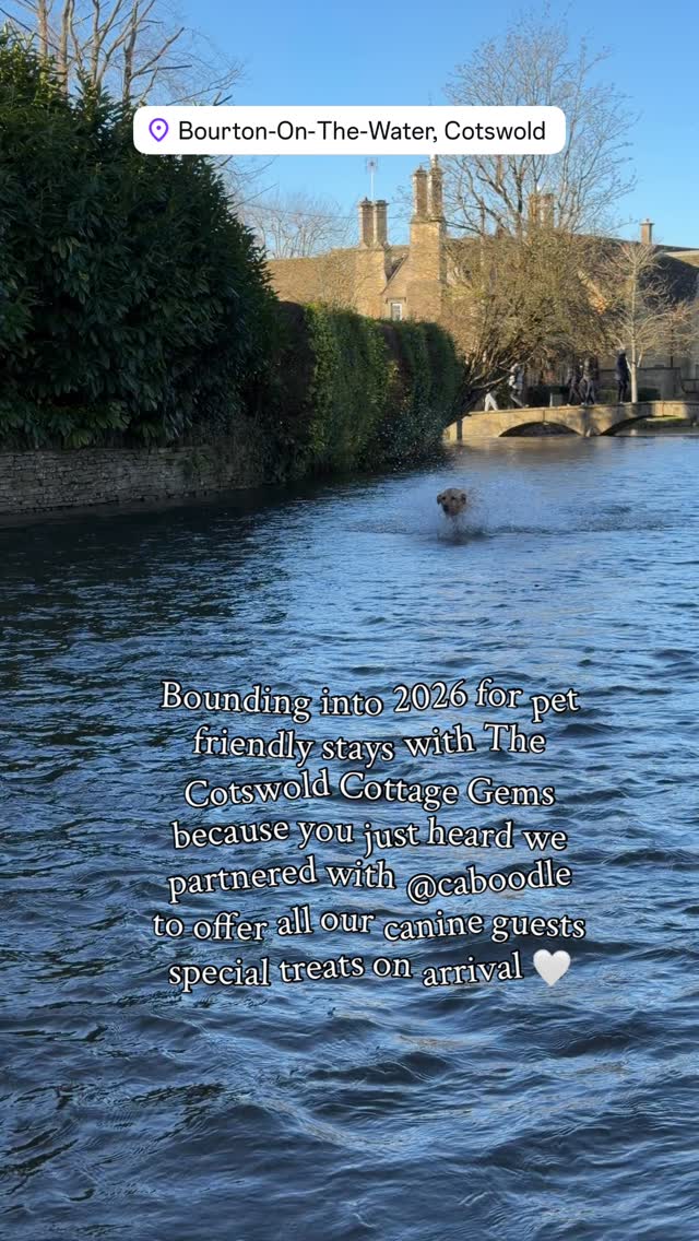 Bourton on the Water, 1 degree 🥶, river antics, wet dog, wet car but it was worth is to show you how excited we are to have partnered with @caboodlers for 2026 to showcase their delicious doggy starters packs with dinner and snacks.
🐕.
Lets us know you’re bringing along your favourite pets so we can ensure they have a welcome arrival treat too.
#labrador #petfriendlytravel #dogfriendship #dogsofinstagram #dogfriendly .
@alwaystakethedogs @awayonearth @greatbritishdogwalks .
