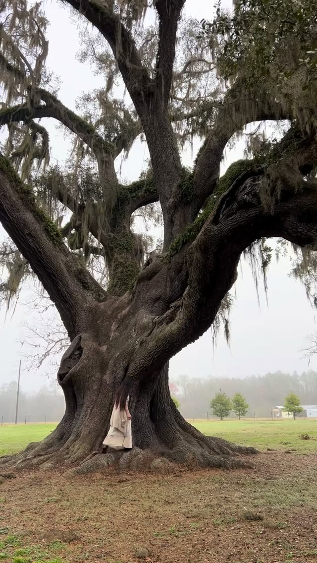 Three years ago today this very first single landed on streaming platforms. Since then we have released 19 other tracks and My True Name continues to be one of the most popular. We’ve come a long way and have a long way to go. I’m grateful for the journey.
We’re actively working on multiple new pieces, and while it’s impossible to know when things will be complete, there will definitely be a scattering of releases this next season.🤎
#independentartist #originalmusic #femalevocals