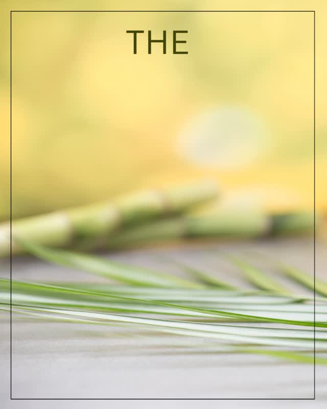 January is not about rushing into change.
It’s about creating space for it.
At Compass Spa, Wellness Week – is a thoughtfully curated series of restorative experiences designed to calm the nervous system, release accumulated tension, and gently realign the body and mind.
No resolutions.
No pressure.
Just intentional care, grounding practices, and support as you move forward into the new year.
Stay Tuned... Events & sessions will be posted tomorrow and January 1st.
Limited availability.
This is your invitation to pause—before moving ahead.