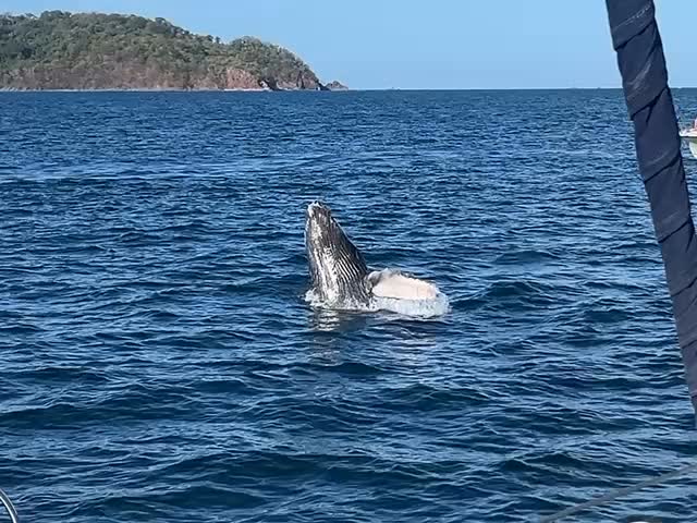 Morning tours are underrated! Look who we saw on Sunday, December 28!