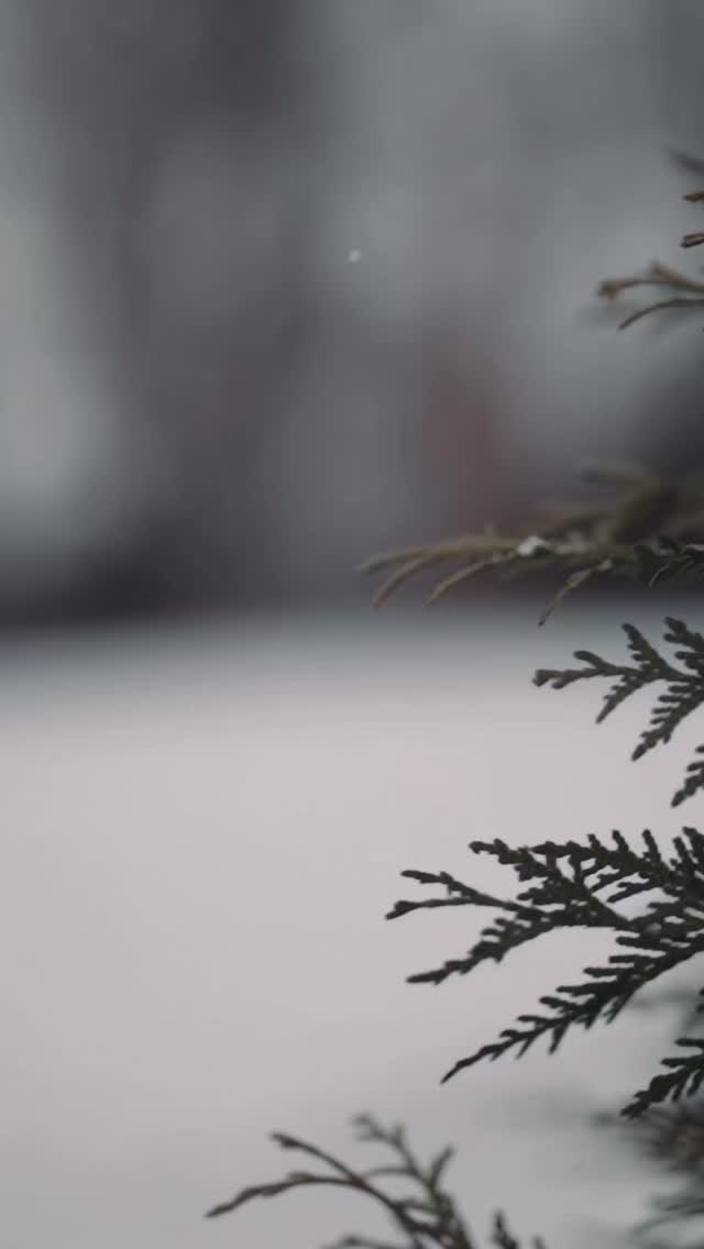 The loudest message of January is often “do more.”
This winter, I am choosing something different.
Wintering Well is a free online experience designed to help you slow down, rest deeply, and begin the year with intention rather than pressure. It includes reflective prompts, a winter book club, a slow knitting project, and simple hygge-inspired practices.
If this speaks to you, make sure you are on my email list to be the first to receive the invitation.
Winter is not something to endure.
It is something to tend.