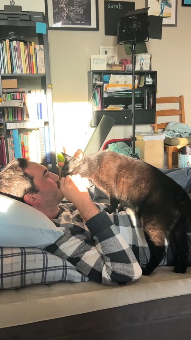 last looks, 2025 (video)