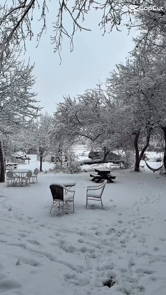 I made this when it snowed, and then we had a very dry Christmas. 🤦♀️😆 #colorado.