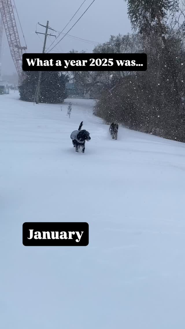 What a year!!! I don’t know where to start but this year pushed me more than ever and I’m so grateful (and exhausted 🤣) for all the experiences, adventures, and truly wonderful couples I was lucky enough to work with. Weddings brought me to Maui, Colorado, Washington & Michigan and family to the beach and Europe!
A huge thank you to all the incredible vendor partners I got to know and collaborate with on so many creative projects. Here’s to making bold, beautiful creations in 2026 and celebrating the love of so many couples getting married around the world. Cheers y’all!!! Love & hugs to all!
#weddingstationery #weddinginspo #watercolor #weddinginspiration #2025