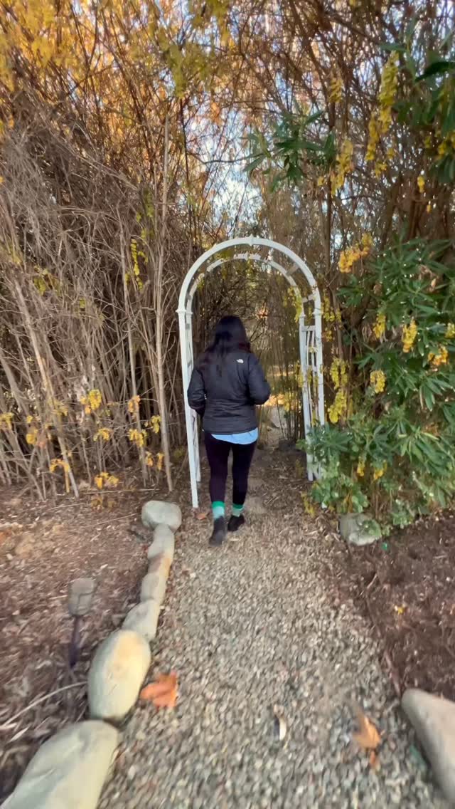 Closing 365 days.
Entering 2026 with purpose. #happivore