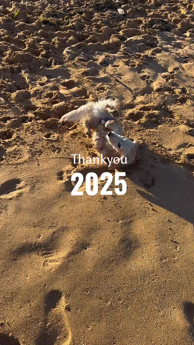 Thank you 2025!
And Hello 2026 😉👋🏻