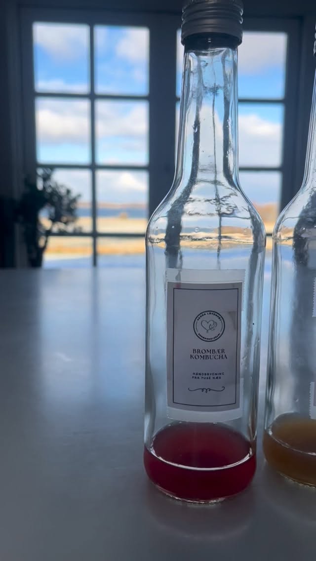 I dag har vi smagt, nørdet og fordybet os i kombuchaens verden på endnu en skøn workshop på Tuse Næs 💚🥂
Deltagerne har brygget deres egen kombucha fra bunden og fået en færdigbryg med hjem, så processen kan fortsætte hjemme i køkkenet.
De tomme flasker i videoen viser at vi har fået smagt på en masse forskellige typer og de fortæller om nysgerrighed, smag, gode spørgsmål og ro til fordybelse.
Har du også lyst til at lære fermentering i et tempo, hvor både krop og hoved kan være med, så kan du finde flere workshops på hjemmesiden 🙌