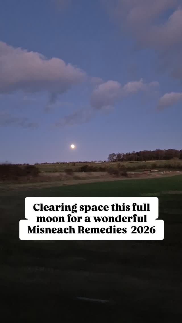 Wolf moon this evening and Grandmother moon looking beautiful.
I’m clearing out the "busy-work" and the self-doubt to make more room for what I love: creating remedies that actually help you feel better.
Misneach means courage and inner strength, and this year, I’m having the courage to keep things simple, slow, and effective.
What is one thing you want to see from Misneach this year? Tell me in one word. 👇
#Misneachremedies #wellbeing
#smallbusiness #fullmoon