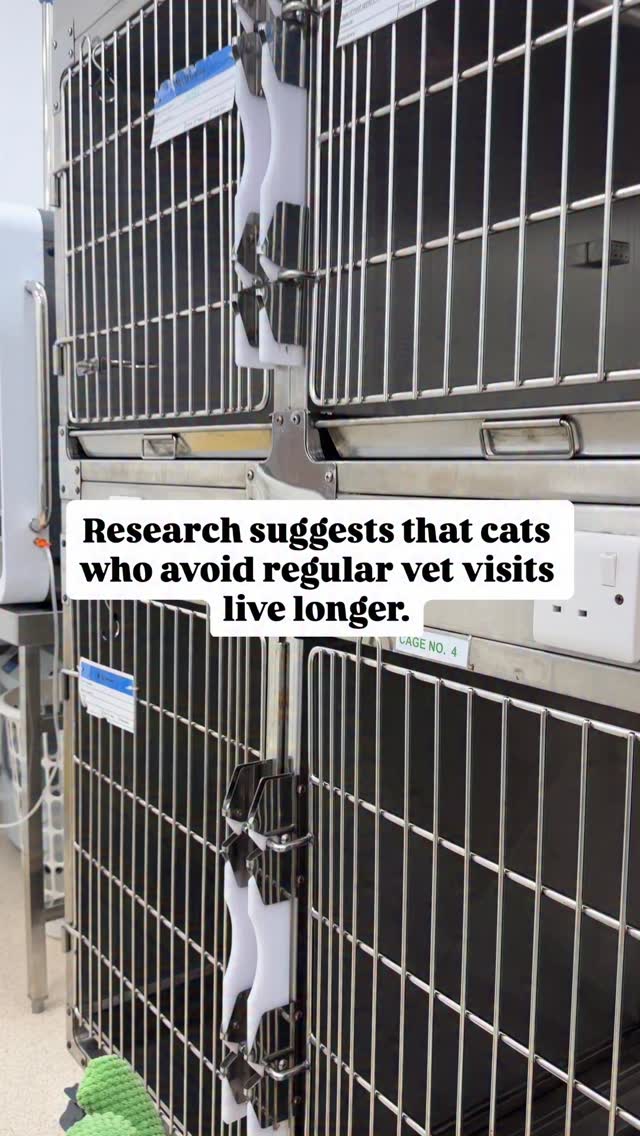 no staff members were harmed in the making of this video 🥲
@mikesvetdxb