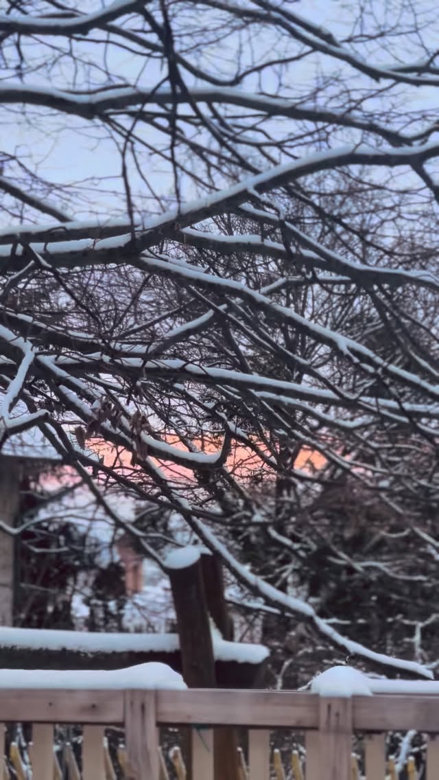 Mindenkinek receptre írnánk egy önfeledt viháncolást a hóban! Reméljük nektek is volt erre lehetőségetek a napokban. Mi minden percét kihasználjuk! ❄️🛷