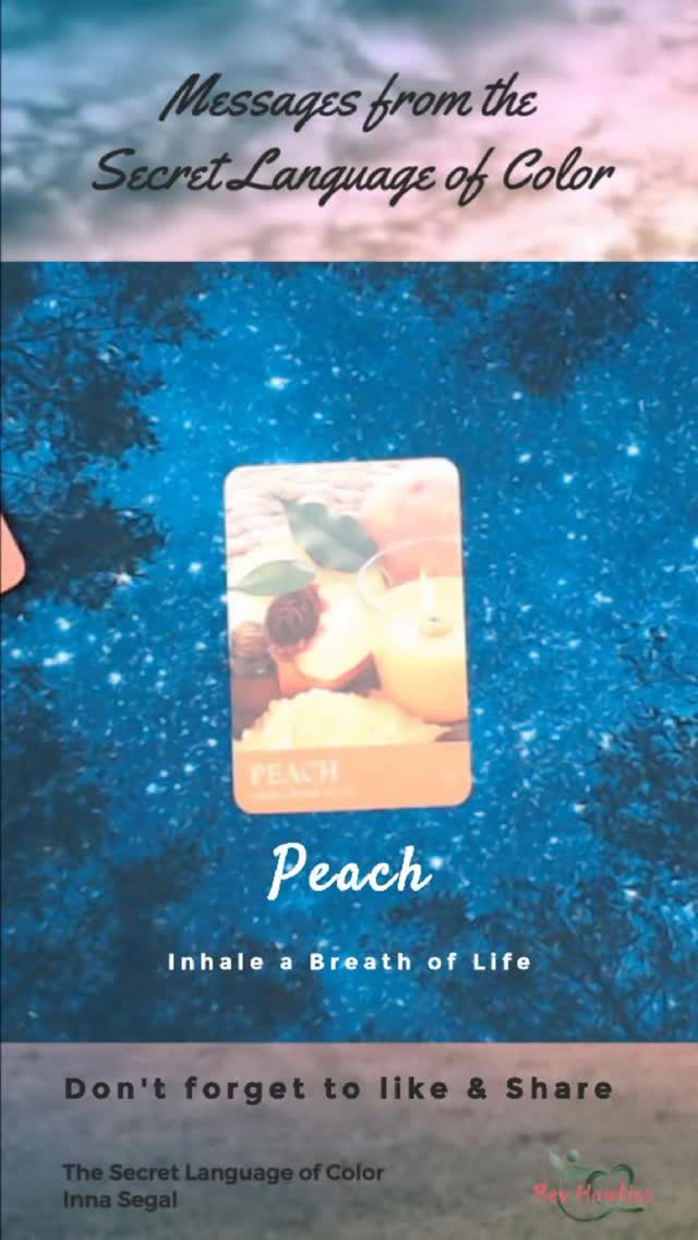 Secret Language of Color – Peach | Inhale a Breath of Life
Peach carries the frequency of renewal, compassion, and gentle life force energy. 🍑✨
In the secret language of color, peach invites you to inhale deeply, soften your body, and receive a fresh breath of life. 🌬️
Let this color soothe your heart and welcome gentle new beginnings.
Save this for a mindful moment 🤍
Comment 🌬️ if this resonates.
#SecretLanguageOfColor #ColorEnergy #PeachEnergy #BreathOfLife