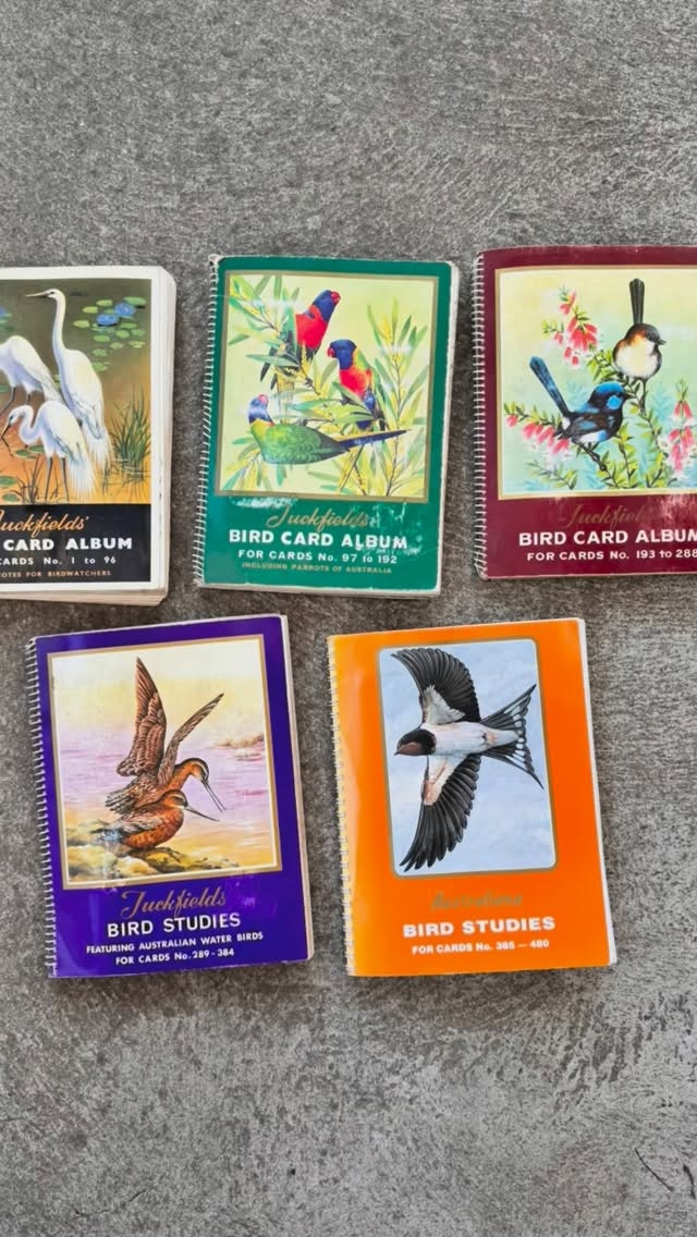 I paint Australian birds 🐦⬛
My inspiration comes from many places, including vintage books and collectibles like the Tuckfields Tea Bird Cards (1959). These illustrations helped shape how Australians connected with native wildlife — and they still inspire me today.