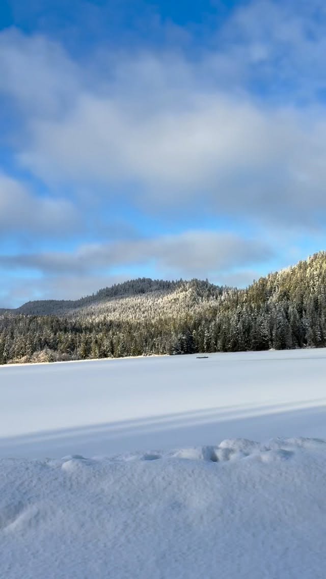Yep, it’s January. Our commute to the oyster farm is a little frosty. ❄️🥶🦪
.
.
.
#alaskanoysters #knowyouroysterfarmer #princeofwalesisland #oysterfarming #alaska