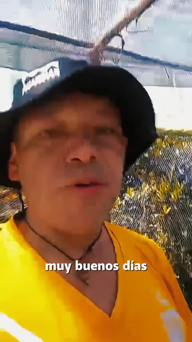 🌄💚 Viajar también puede sanar la tierra
En el corazón del Páramo de Ocetá, en Monguí, nace una experiencia que transforma vidas y protege nuestro futuro.
🌱 Adopta un Frailejón es un proyecto de turismo responsable donde cada viaje deja una huella de esperanza:
conservación, conciencia ambiental y amor por nuestros páramos.
En Barak Travel creemos que viajar no es solo conocer destinos,
sino cuidar lo que Dios nos confió 🤍✨
📩 Escríbenos y pide más información.
Sé parte de una experiencia que inspira, conecta y protege.
#BarakTravel #AdoptaUnFrailejón #TurismoResponsable #PáramoDeOcetá #Monguí ViajesConPropósito 🌱✈️