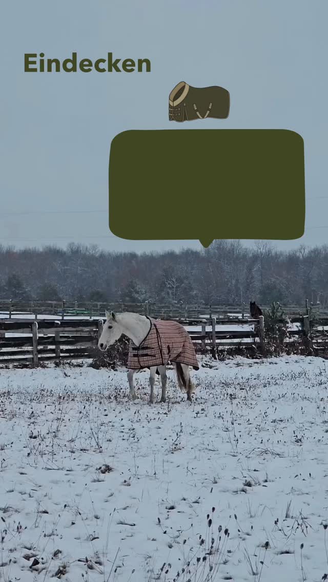 Decke drauf – oder lieber nicht? Beim Eindecken entscheiden fast immer wir. Nach Gefühl, nach Wetter-App oder nach Stallmeinung. Aber Pferde können sehr wohl mitteilen, was sie brauchen, wenn wir ihnen die Möglichkeit dazu geben.
Im Video zeige ich dir, wie Pferde selbst anzeigen können, ob sie eine Decke möchten oder nicht.
Wann kann Eindecken sinnvoll sein?
Eindecken ist kein Standard, sondern immer individuell. Wichtige Faktoren sind unter anderem:
• Ist das Pferd geschoren oder ungeschoren?
• Alter des Pferdes
• Gesundheitszustand & Stoffwechsel
• Haltungsform (Unterstand, Wind, Regen, Bewegung)
Die Übersicht im Video hilft dir, diese Punkte einzuordnen
👉 Speicher dir das Video, um die Checkliste jederzeit griffbereit zu haben.
Wie kann ein Pferd selbst mitentscheiden?
In einer Studie („Horses can learn to use symbols to communicate their preferences“, Mejdell et al., 2016) wurde gezeigt, dass Pferde lernen können, über einfache visuelle Symbole mitzuteilen: Decke an, Decke aus oder keine Veränderung.
Alle Pferde der Studie lernten dieses System – mit 100 % Erfolg.
Das Grundprinzip des Trainings (kurz & praxisnah)
• Zuerst: simples Target-Training (Tafel mit der Nase berühren)
• Danach: Einführung von zwei Symbolen („Decke an“ / „Decke aus“)
• Später: drittes Symbol „keine Änderung“
• Ab hier gibt es keine falschen Antworten – jede Entscheidung wird respektiert und belohnt
Den genauen Ablauf, die Symbole und die Schritte siehst du direkt im Video eingeblendet.
💭Warum das wichtig ist: Eindecken ist keine Ja-oder-Nein-Frage. Es ist eine individuelle Entscheidung und kann zu einem Dialog werden.
👉 Speicher dir das Video, wenn du es selbst ausprobieren möchtest.
💬 Erzähl mir gern in den Kommentaren, wie dein Pferd entschieden hat oder was dich am Eindecken bisher am meisten verunsichert.