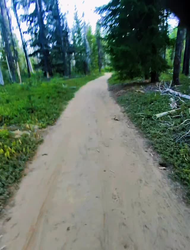When you hear “this could be a Disney roller
coaster”, , you know you’re doing the right thing. The
boys had a lot of fun riding trails around Lemolo Lake on the e-bike with Dad. The KOA there is a stones throw from Crater Lake and we highly recommend it! So many activities for kiddos. #ebike #craterlake #rvlife #bikecrash #familytravel