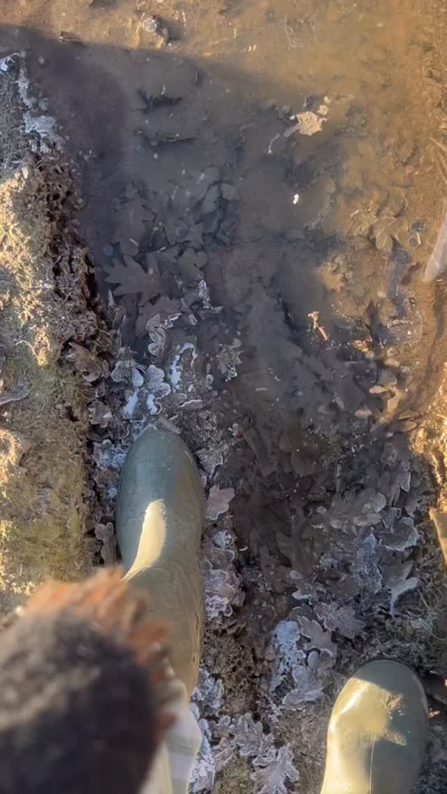 Taking that first step towards autism acceptance can feel scary. We have to unlearn so much and learn things that might feel uncomfortable at first. Things like:
1. Spoken language isn’t always the end goal of speech and language therapy. Giving people a functional communication system that allows them to express themselves fully? That is the end goal. For some that might be mouth words. For others it might be signing or using a communication device.
2. There are many, many “treatment” approaches that just teach autistic masking. How to make eye contact, ask polite questions, sit still, stop fidgeting. They’re based on neurotypical expectations about what “good” communication is.
3. The change needs to come from us, not them. Before we expect cognitive flexibility, strong emotional regulation and perspective taking skills, how have we embodied those skills first?
Taking that first step can feel like stepping onto the ice. We have to unlearn years of misinformation that tells us:
Autistic people are broken and need fixing
They have to look neurotypical to function
Differences are character flaws
Autism acceptance asks us to pause and question those messages. Acceptance means valuing support over “normalization,” understanding over judgment, and access over expectations. It means making room for different needs without demanding justification, and listening to autistic voices instead of speaking over them.
Here’s to taking that first step