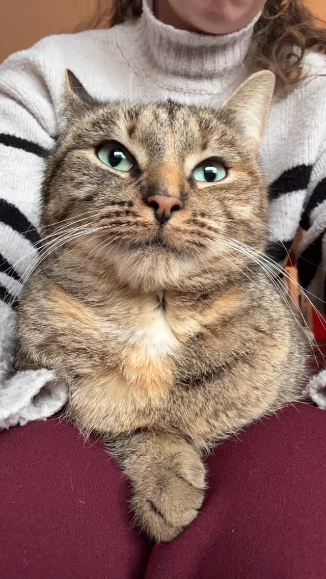 When someone’s spilling tea but you’re pretending not to hear