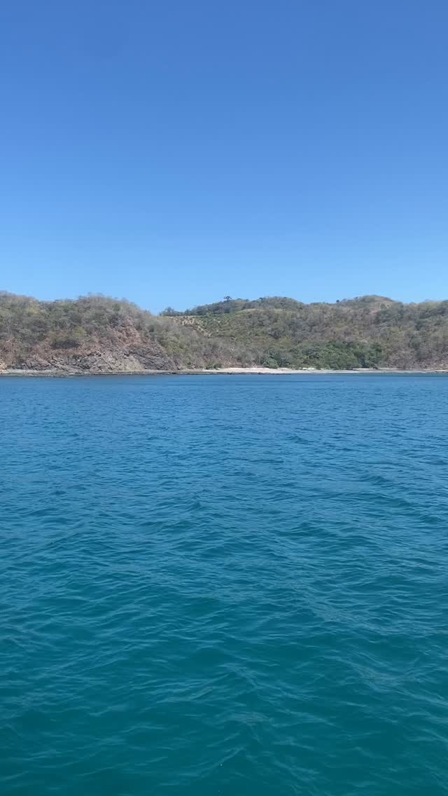 What a morning!
The water, 🧑🍳 😘
Stopped in Guacamaya today, and clear from surface to about 12 feet below. Ah-mazing!
Get out here! Join us Friday, January 9 en la mañana 👊 🤿