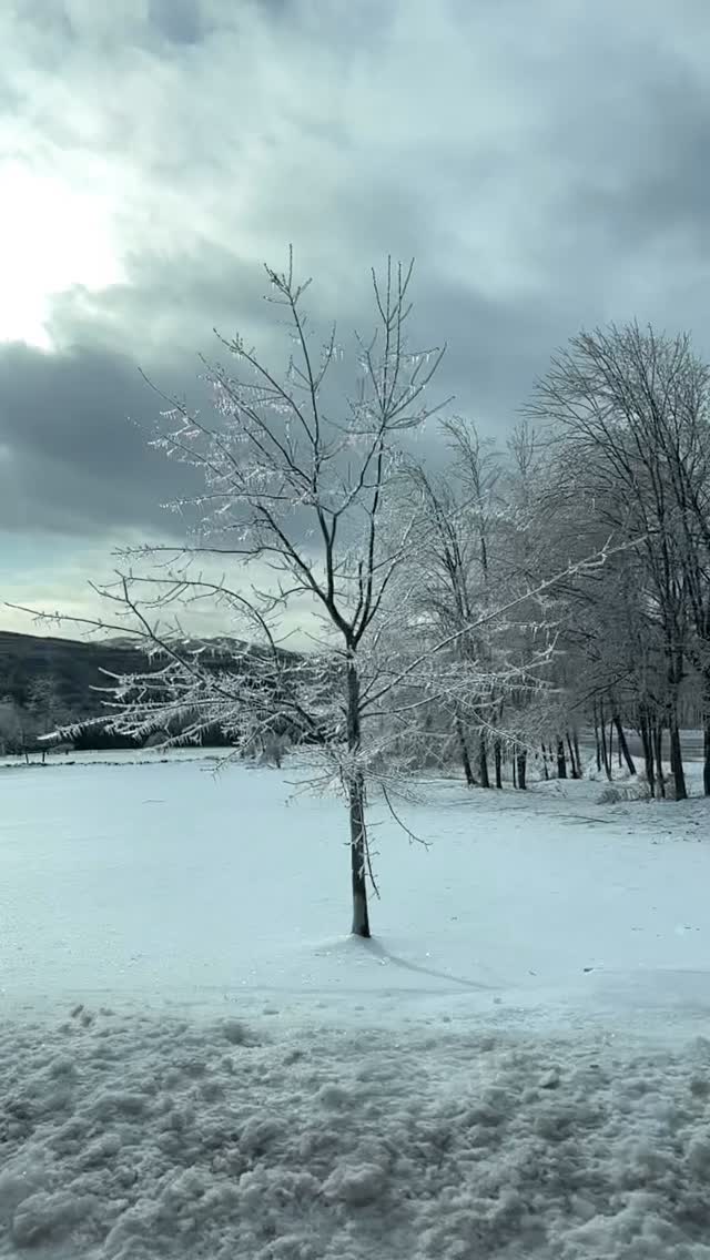 Slow-mo & diamond beautiful.
.
.
.
#IceStorm
#Nature
#Beauty