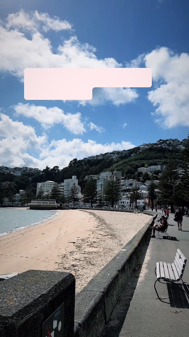 🤩Good morning From Wellington😎😎#wellingtonvibe #newyearwalk