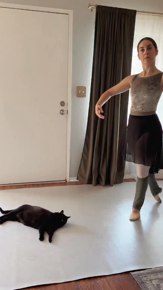 Nothing tests your proprioception like a 13 lb cat in the middle of your dance floor 🤦🏻♀️🙄🐈⬛
Leotard by @juledancewear ✨
#ballet #adultballet #ballerina
