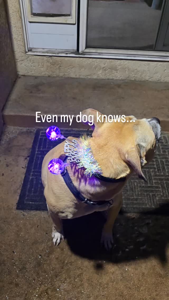 Even my dog knows... 🐕
Training for a book launch is a marathon not a sprint and we're celebrating the journey.
Coming soon details for book launch on Sunday, February 15th at Style Den in Marina Del Rey.
This Valentine's day love yourself first. Join us for an afternoon of Music, Art, and Words that inspired one woman's journey of finding herself...to find her true path.
Are you creating?
How will you love ❤️ yourself in 2026?
#debutnovel #magicalrealism #SongOfHummingbirdHighway #growthmindset #fun