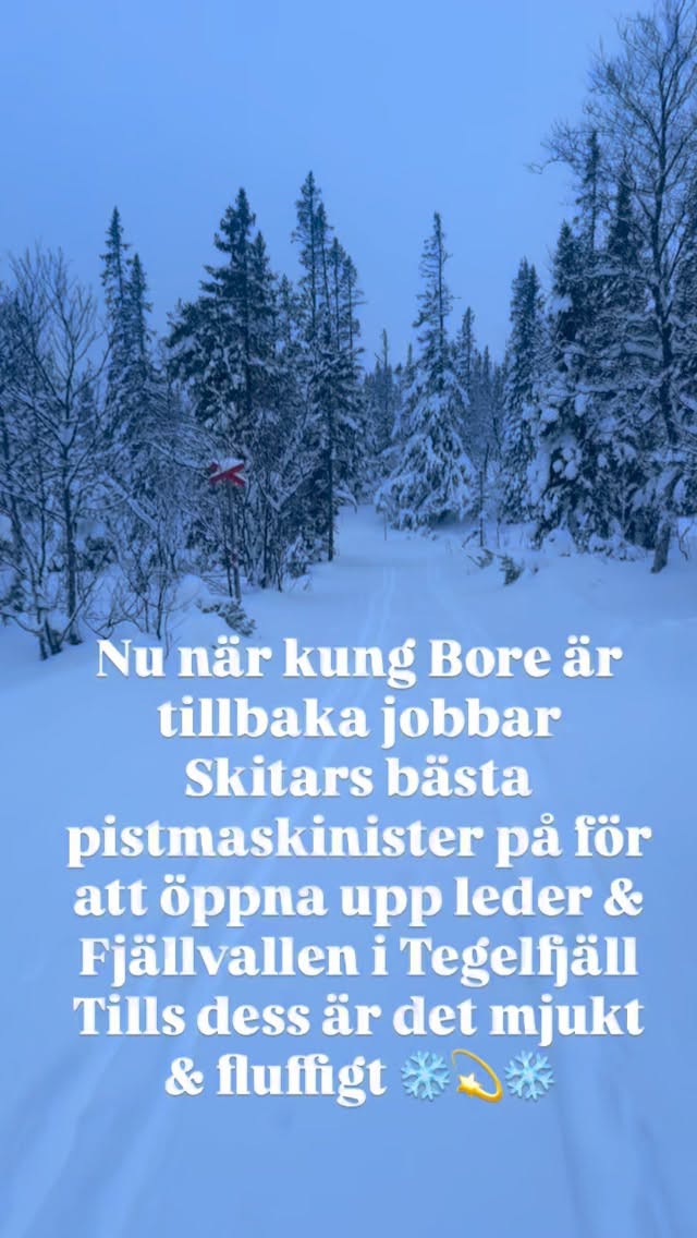 Nu när kung Bore & kylan äntligen är tillbaka jobbar Skistar på med att få ordning på leder, liftar och backar runt Lillåstugan.
Vi har öppet dagligen 10.00 - 14.00
Varmt välkommen 🧇☕️🔥