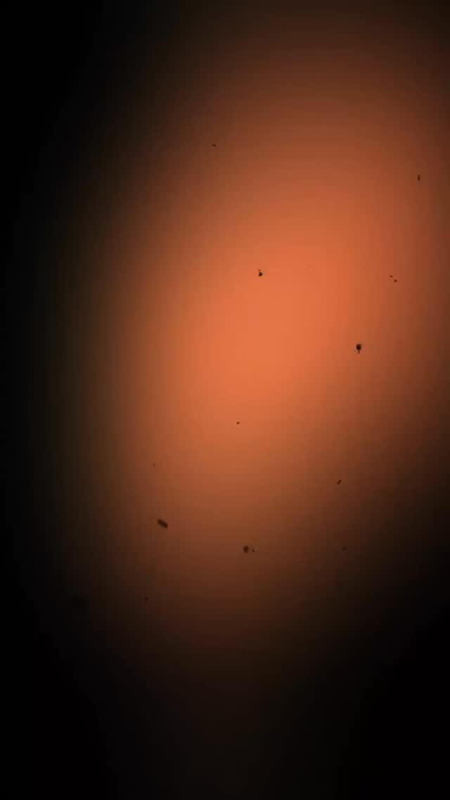 This is how high performers actually start fresh: they don’t try to become a new person on January 1.
They choose one small thing they can do on their busiest day, and they do it long enough to be automatic. Consistency is the secret sauce.
If you’re starting January and feeling behind, pick one habit for the next 7 days. Make it almost too easy. Then build.
Save this if you want a fresh start that lasts.