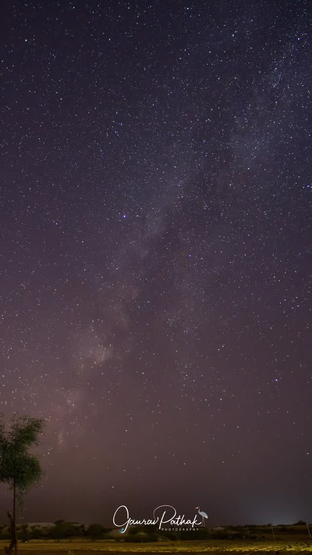 A quiet desert night in Jaisalmer, where the land falls silent and the sky takes over. This 15-second glimpse of the Milky Way took an hour of stillness and many more of patience behind a screen. When asked why I do it, the answer is simple. To share a small part of the wonder these moments bring me, with anyone willing to look up for a while.
#MilkyWayMagic
#JaisalmerNights
#DesertSkies
#ChasingTheStars
#whyicreate