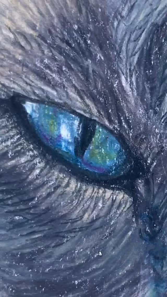 Over Christmas I minded my ‘Grandkits’… how could I resist these cute Tonkinese darlings? The regal Blue Tilly with her quiet calmness and the lovably naughty Cinnamon George, with his sweet cross-eyed affection… how could I not? ☺️❤️
#lyndasampsonart #australianartist #outsiderart #archive #artarchive #prismacolor #cat #cats_of_instagram #grandkits #tonkinese #petportrait