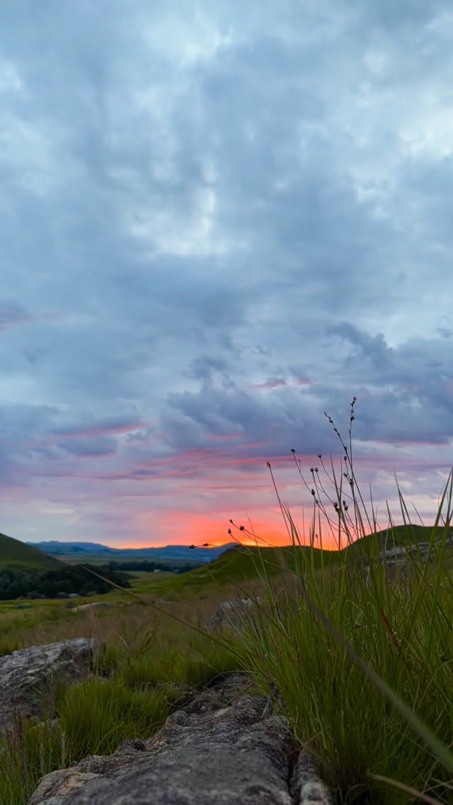 A new year. A new sunrise. 🌅
Thank you to all our wonderful guests for making 2025 truly special.
May this first sunrise of 2026 be the promise of an amazing year ahead ✨
#nature #drakensberg #naturelovers #drakensbergmountains #beautifuldestinations #getaway #beautifulplaces #goplaces #beautifulsouthafrica #weekendgetaway