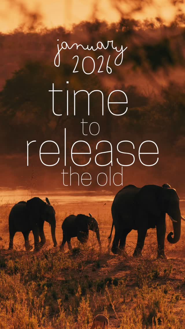 🌿 Let the wild and wise nature around you reconnect us with the wild and wise nature within you
🌿 Rewilding Your Soul | 30 Jan - 1 Feb 2026 | Sashwa River of Stars
🌿 RELEASE | RESET | RECONNECT | REWILD
🌿 Comment READY TO REWILD for more information
🌿 To book: DM or click on link in bio
#sashwa #retreat #selfcare #2026